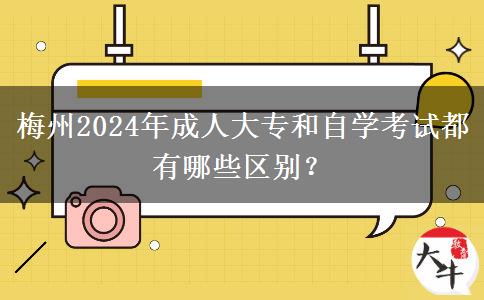 梅州2024年成人大專和自學(xué)考試都有哪些區(qū)別？