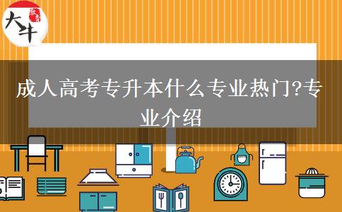 成人高考專升本什么專業(yè)熱門?專業(yè)介紹