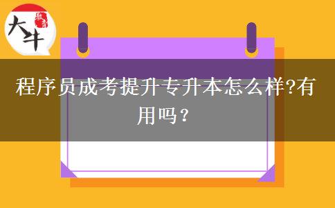 程序員成考提升專升本怎么樣?有用嗎？