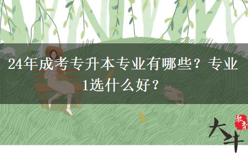 24年成考專升本專業(yè)有哪些？專業(yè)1選什么好？