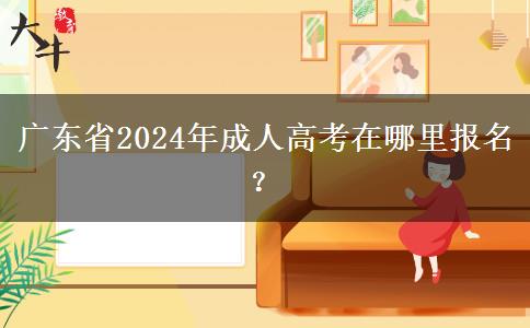 廣東省2024年成人高考在哪里報(bào)名？