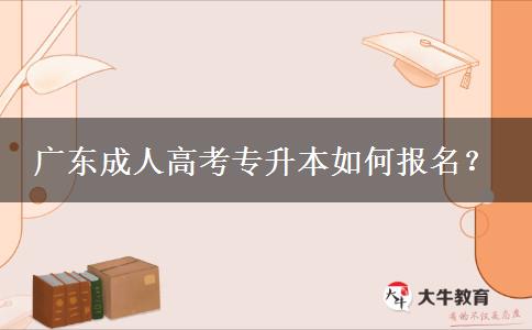 廣東成人高考專升本如何報(bào)名？