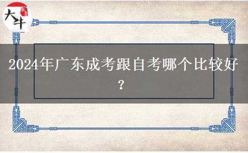 2024年廣東成考跟自考哪個(gè)比較好？