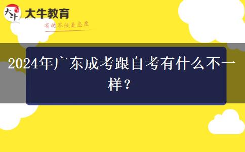 2024年廣東成考跟自考有什么不一樣？