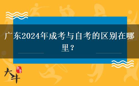 廣東2024年成考與自考的區(qū)別在哪里？