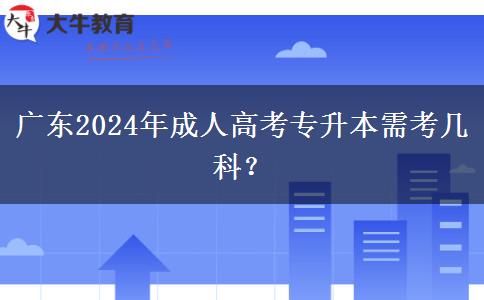 廣東2024年成人高考專升本需考幾科？