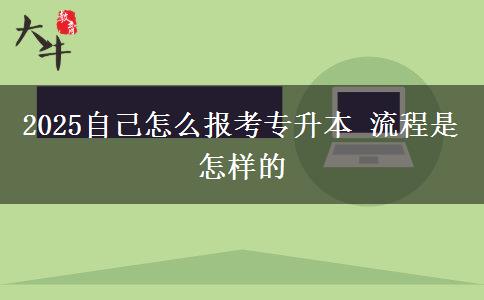 2025自己怎么報(bào)考專升本 流程是怎樣的