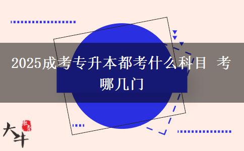 2025成考專升本都考什么科目 考哪幾門