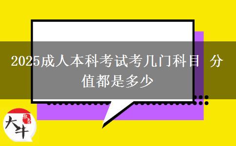 2025成人本科考試考幾門科目 分值都是多少