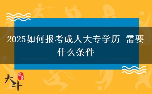 2025如何報考成人大專學歷 需要什么條件