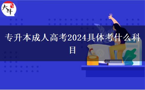 專升本成人高考2024具體考什么科目