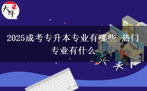 2025成考專升本專業(yè)有哪些 熱門專業(yè)有什么