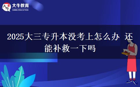 2025大三專升本沒(méi)考上怎么辦 還能補(bǔ)救一下嗎