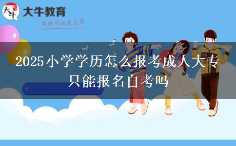 2025小學(xué)學(xué)歷怎么報(bào)考成人大專 只能報(bào)名自考嗎