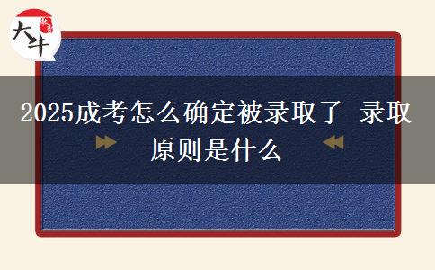 2025成考怎么確定被錄取了 錄取原則是什么