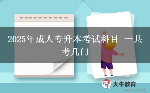 2025年成人專升本考試科目 一共考幾門