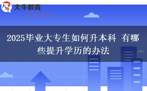 2025畢業(yè)大專生如何升本科 有哪些提升學(xué)歷的辦法