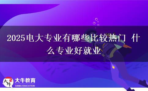 2025電大專業(yè)有哪些比較熱門 什么專業(yè)好就業(yè)