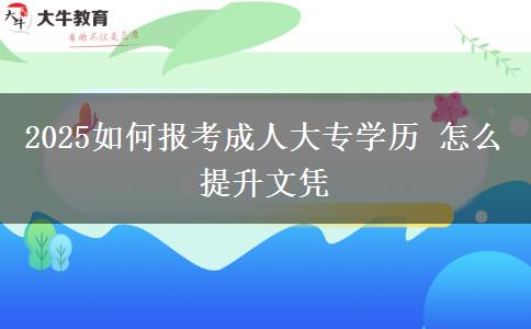 2025如何報考成人大專學歷 怎么提升文憑