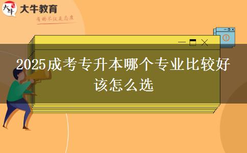 2025成考專升本哪個(gè)專業(yè)比較好 該怎么選