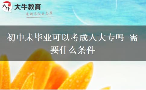 初中未畢業(yè)可以考成人大專嗎 需要什么條件