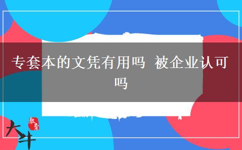 專套本的文憑有用嗎 被企業(yè)認可嗎