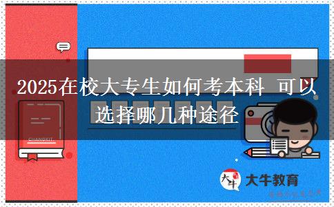 2025在校大專生如何考本科 可以選擇哪幾種途徑