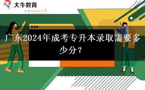 廣東2024年成考專升本錄取需要多少分？