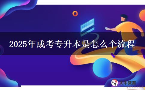 2025年成考專升本是怎么個流程