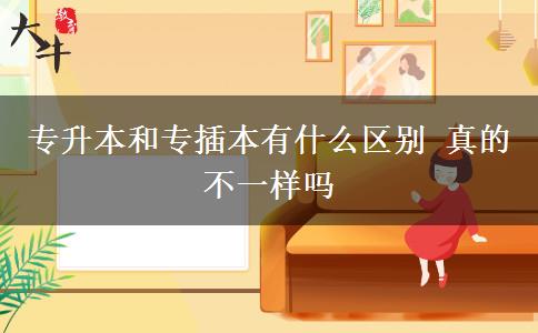 專升本和專插本有什么區(qū)別 真的不一樣嗎