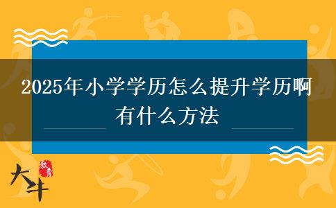 2025年小學(xué)學(xué)歷怎么提升學(xué)歷啊 有什么方法