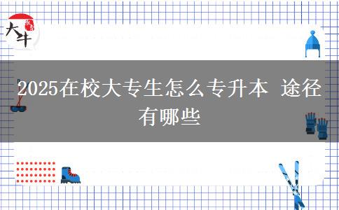 2025在校大專生怎么專升本 途徑有哪些