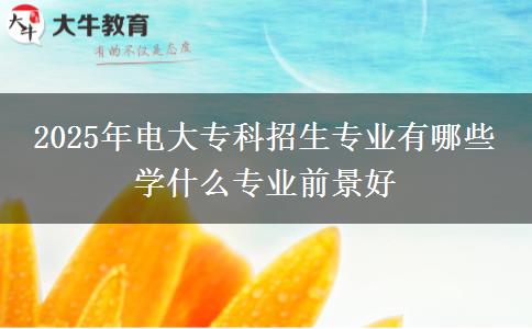 2025年電大?？普猩鷮I(yè)有哪些 學(xué)什么專業(yè)前景好