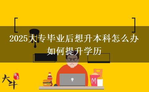 2025大專畢業(yè)后想升本科怎么辦 如何提升學(xué)歷