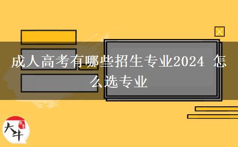 成人高考有哪些招生專業(yè)2024 怎么選專業(yè)