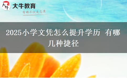 2025小學(xué)文憑怎么提升學(xué)歷 有哪幾種捷徑