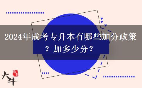 2024年成考專升本有哪些加分政策？加多少分？