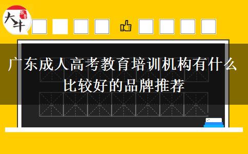 廣東成人高考教育培訓(xùn)機(jī)構(gòu)有什么比較好的品牌