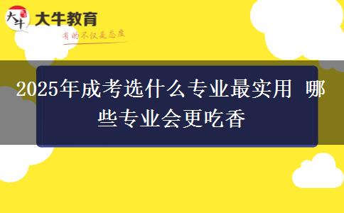 2025年成考選什么專業(yè)最實用 哪些專業(yè)會更吃香