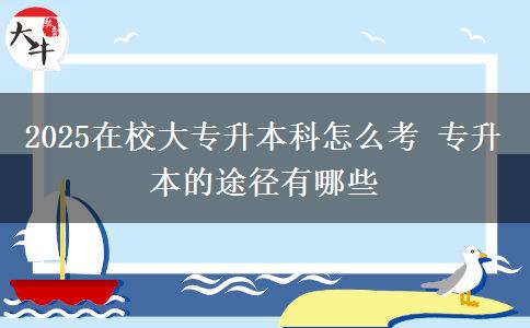 2025在校大專升本科怎么考 專升本的途徑有哪些