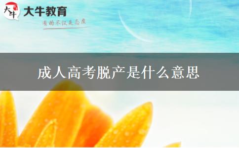 成人高考脫產(chǎn)是什么意思