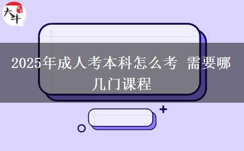 2025年成人考本科怎么考 需要哪幾門課程