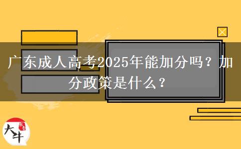 廣東成人高考2025年能加分嗎？加分政策是什么？