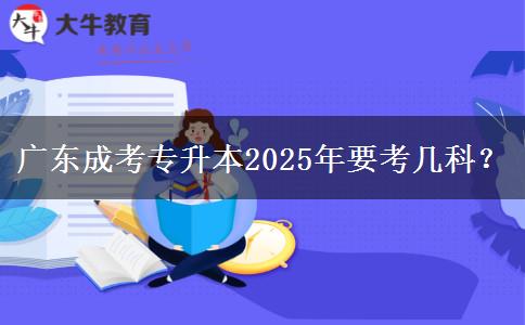 廣東成考專升本2025年要考幾科？