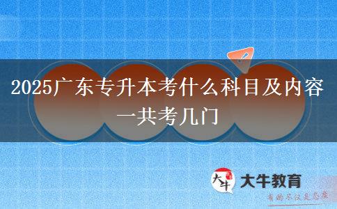 2025廣東專升本考什么科目及內(nèi)容 一共考幾門