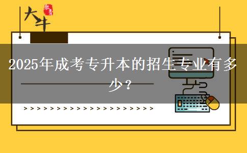 2025年成考專升本的招生專業(yè)有多少？