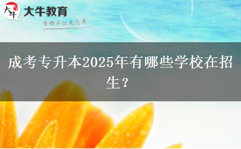 成考專升本2025年有哪些學(xué)校在招生？