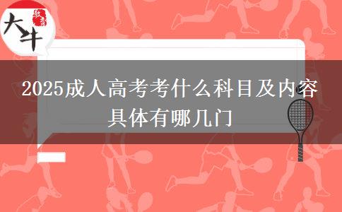 2025成人高考考什么科目及內(nèi)容 具體有哪幾門