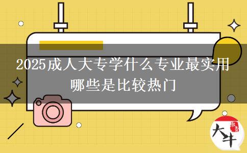 2025成人大專學(xué)什么專業(yè)最實(shí)用 哪些是比較熱門