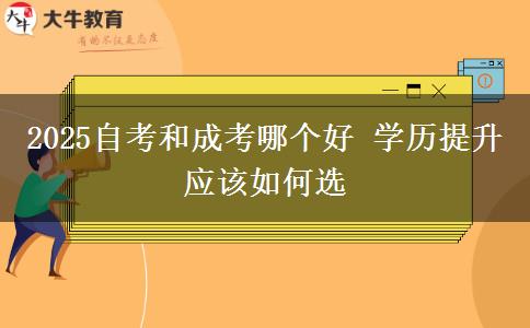 2025自考和成考哪個(gè)好 學(xué)歷提升應(yīng)該如何選